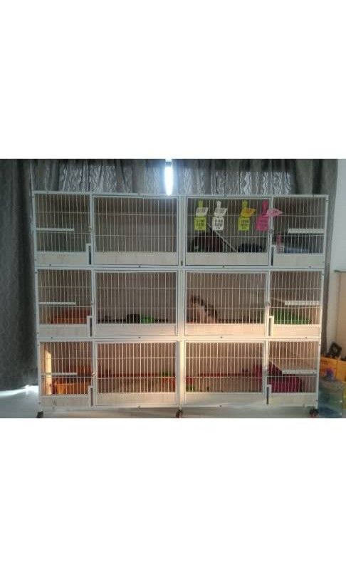 Sangkar cabinet rumah kucing, Pet Supplies, Homes & Other Pet