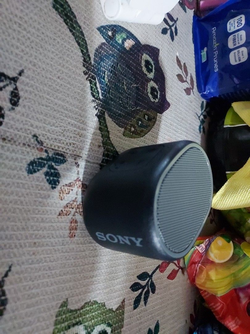 Sony speaker SRS XBO1