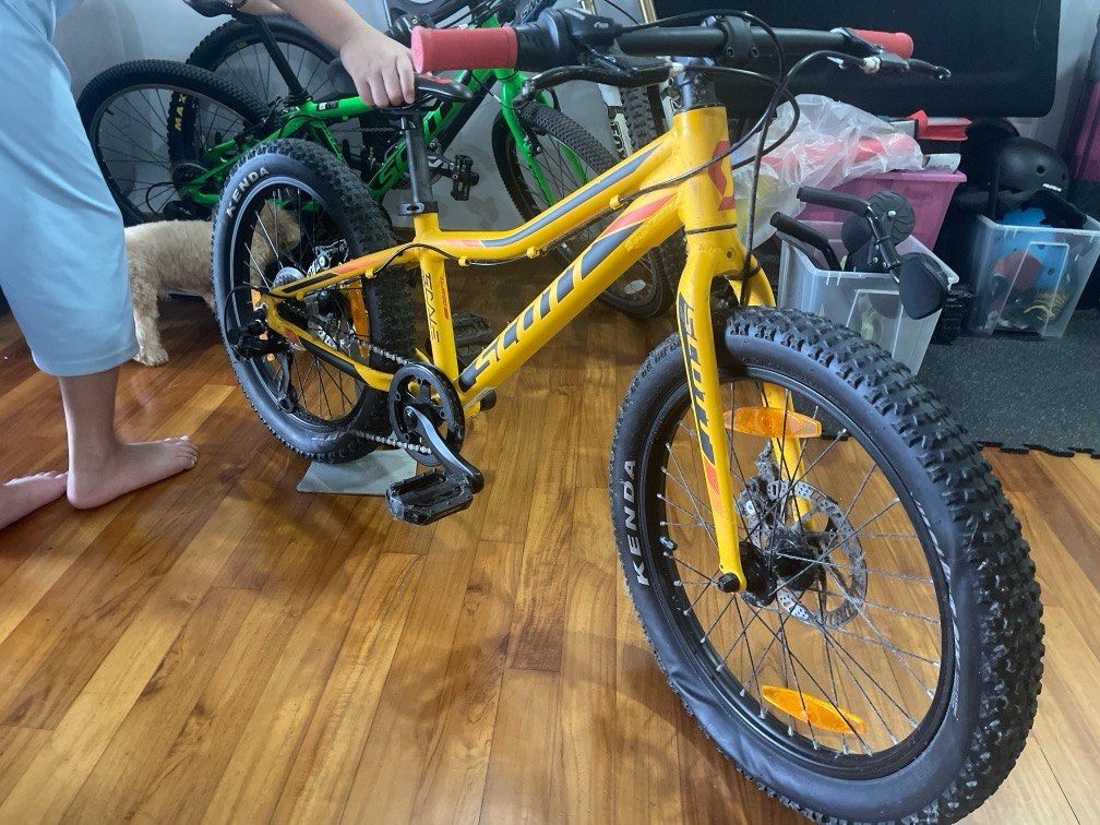 Scott scale jr 20 plus deals