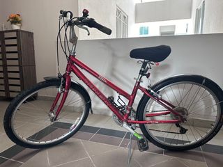 Trek navigator hotsell price