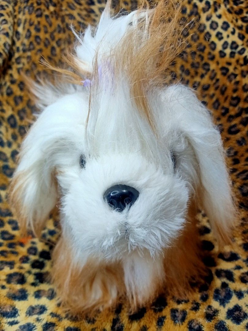 VERY CUTE TESCO BRAND SHIH TZU PLUSH DOG, Hobbies & Toys, Toys & Games ...