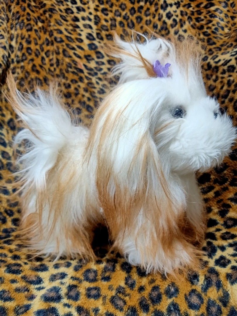 VERY CUTE TESCO BRAND SHIH TZU PLUSH DOG, Hobbies & Toys, Toys & Games ...
