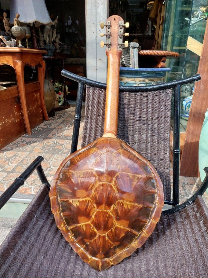 Sea turtle shell deals guitar
