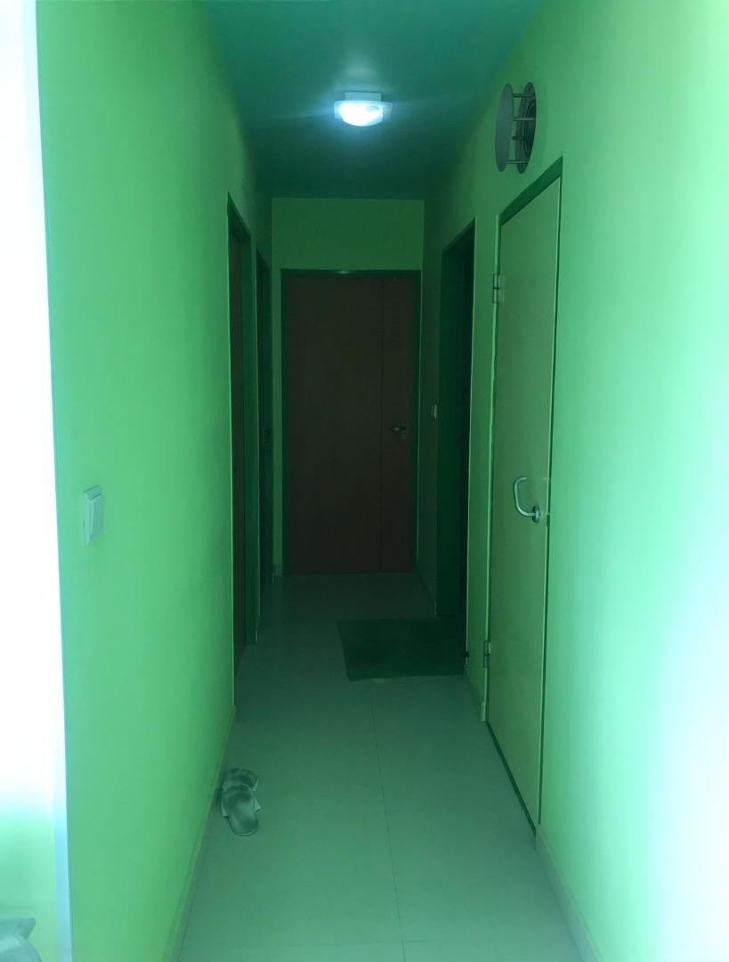 (Category: ) located in . Submitted by kimeelogistics (Listing ID 1272967269, Image 1). Description: .