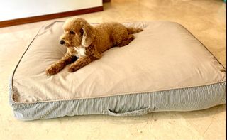 Second hand dog sales beds
