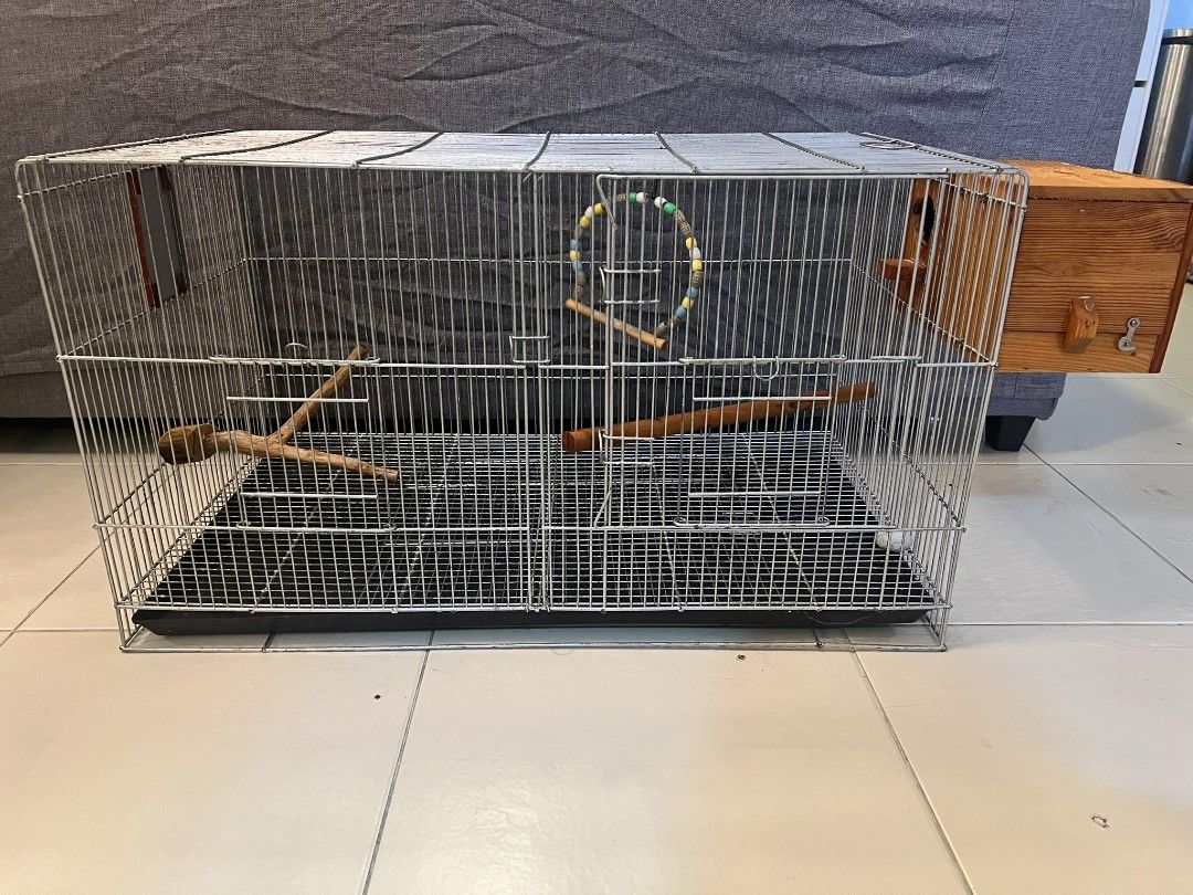 Bird accessories for sale store