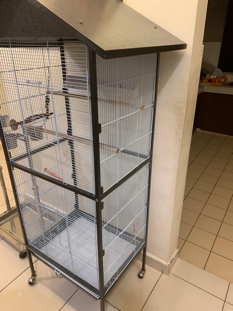 Cat proof top bird cage