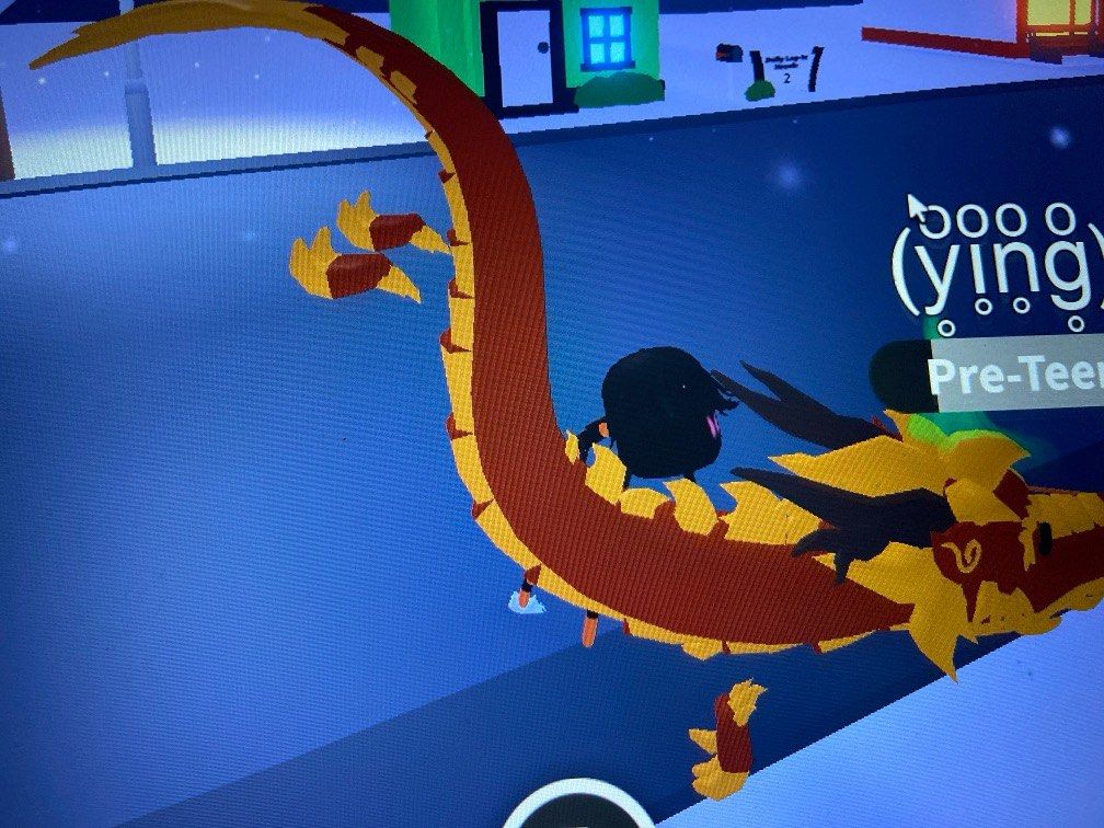 Dancing Dragon adopt me!!, Video Gaming, Gaming Accessories, InGame