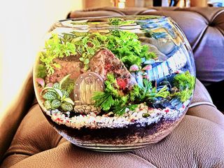 (Category: ) located in . Submitted by green_canopy_ideas (Listing ID 1273108100, Image 1). Description: .