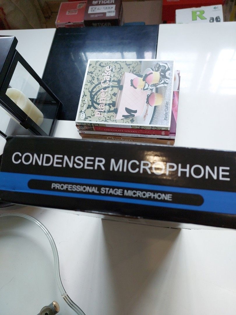 Legendary Vocal Professional Condenser Microphone, Audio, Microphones