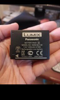 Lumix DMW-BLC12 battery