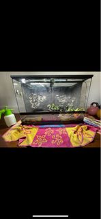 (Category: ) located in . Submitted by harryhr (Listing ID 1273032081, Image 1). Description: .