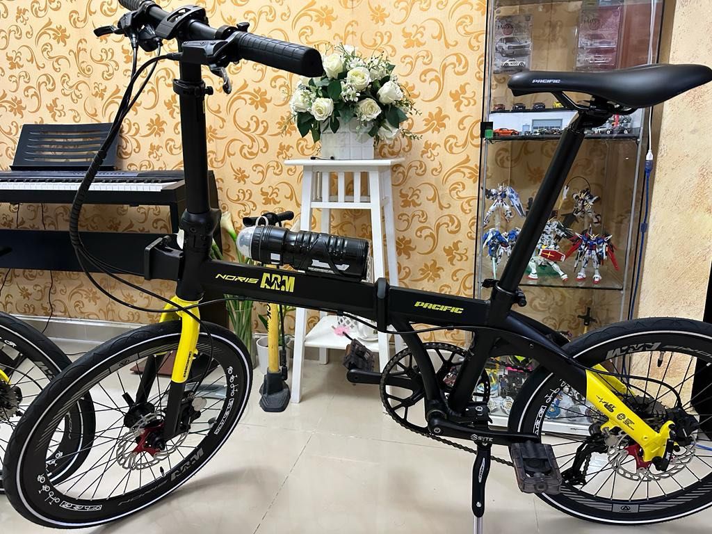 Pacific Noris Arm Folding Bike