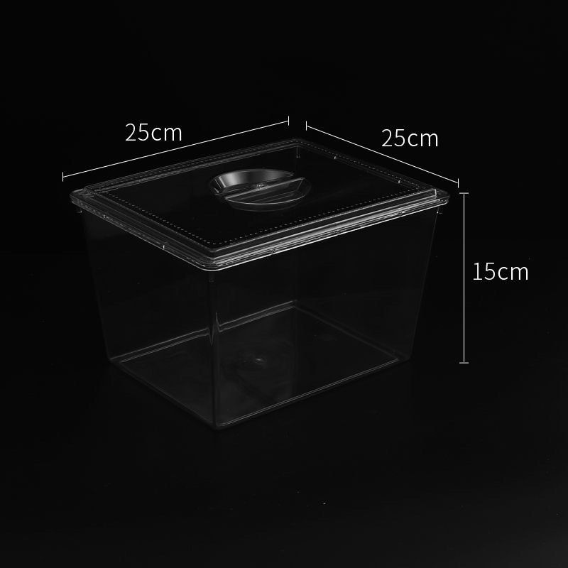 Supermarket Food Display Box Shelf Display Box Dried Fruit Box Candy ...