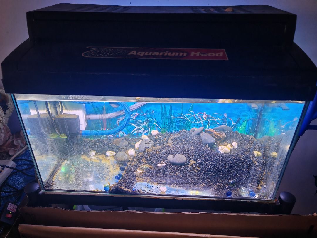 Complete sales aquarium set
