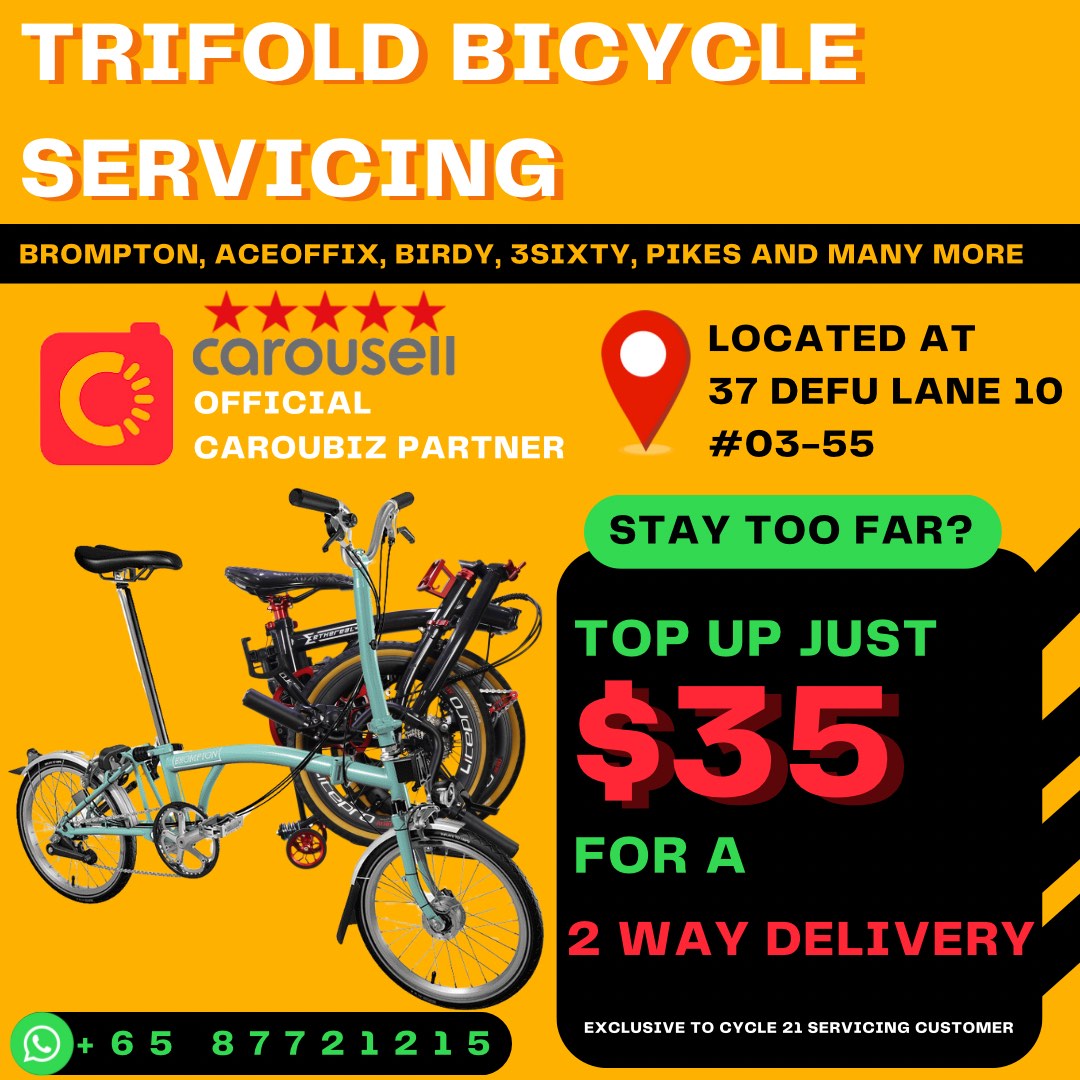 Brompton shop bike service