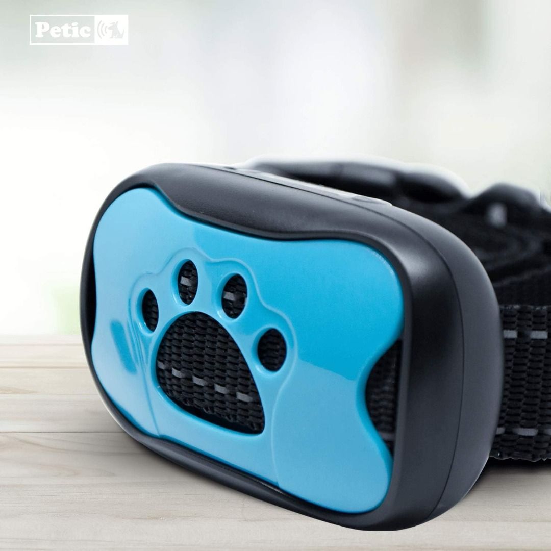 Dog rock humane anti bark training collar store