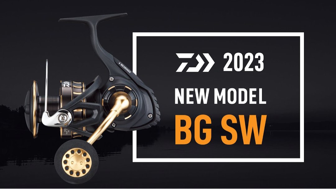 Daiwa bg 8000 sw outlet