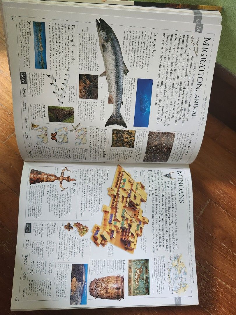 Illustrated Family Encyclopedia (DK) – Edizione Rilegata Del 2005, Usata In Ottime Condizioni