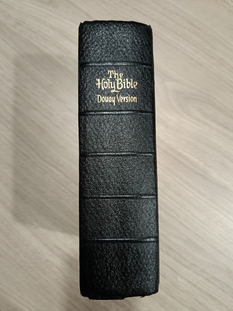 HOLY BIBLE | Douay-Rheims Version, Hobbies & Toys, Books & Magazines ...
