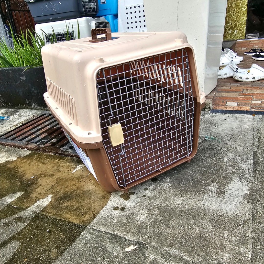 IATA approved large Pet Carrier dog crate transport cat, Pet Supplies