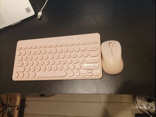 Mouse + keyboard