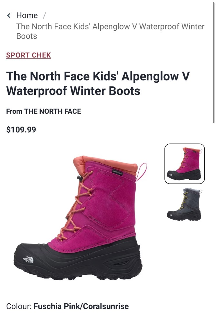 Sport chek on sale north face boots