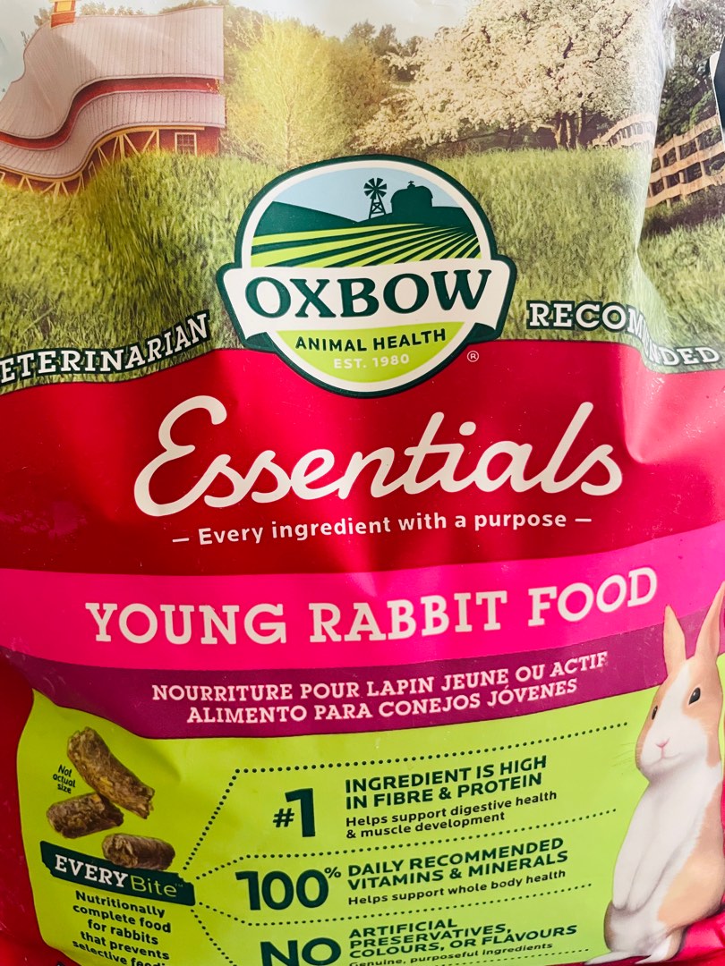Oxbow essentials young rabbit food sales