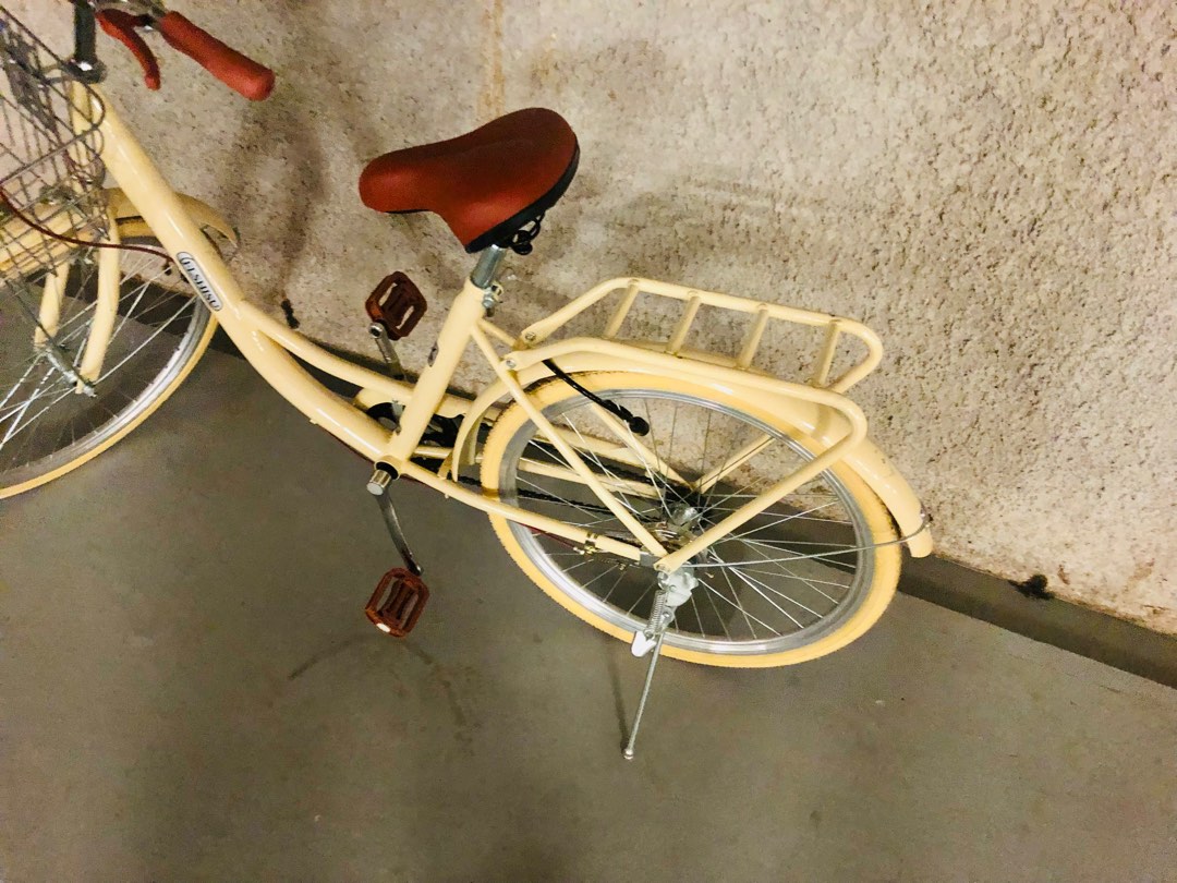 Pasir Panjang 24 inch vintage style ins trendy bicycle bright