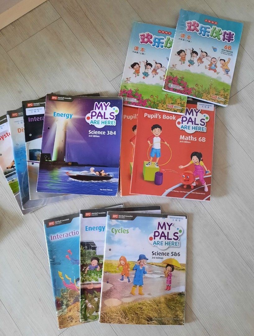 Primary 6 School Textbooks, Hobbies & Toys, Books & Magazines ...