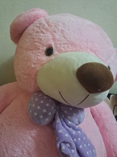 Kedai teddy shop bear murah