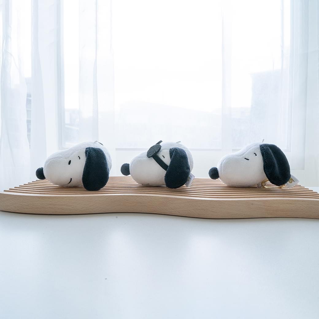 Snoopy heated slippers online