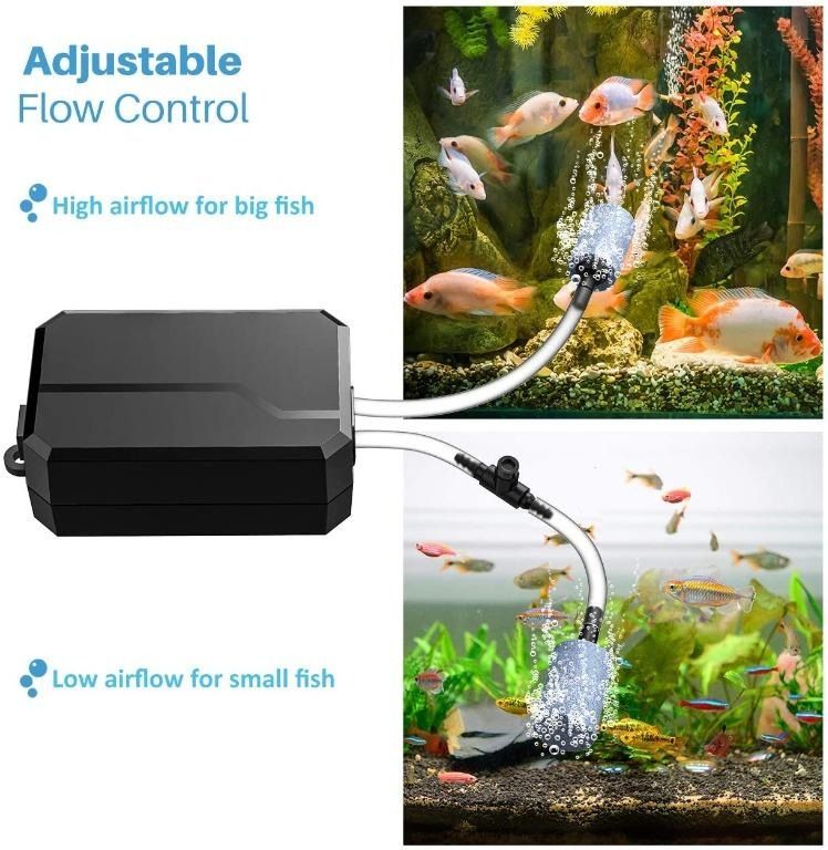 A closer look at Saltwater Aquarium Oxygen Regulating Devices For Coral