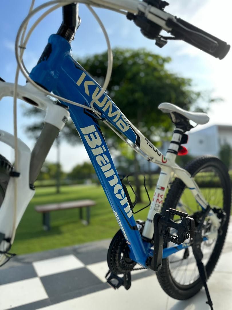 Bianchi Kuma 4900 Bicycle