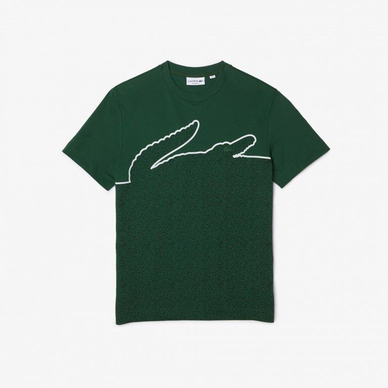 Brand New Lacoste T shirt Luxury Apparel on Carousell