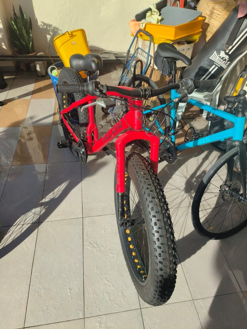 Olx fat 2025 cycle