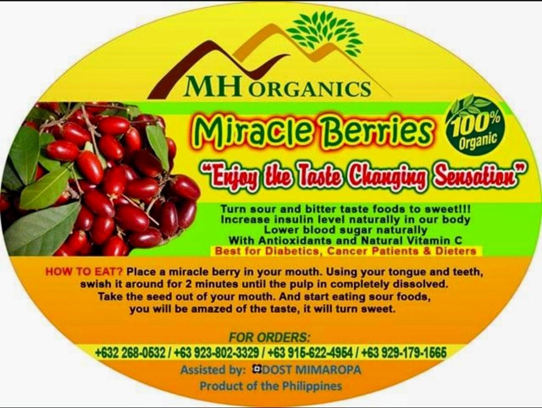 FRESH MIRACLE BERRY - MAGIC FRUIT AVAILABLE (Category: Fresh Produce) located in Marikina City. Submitted by irene.evangelista1 (Listing ID 1273406675, Image 2). Description: ❗ "MIRACLE BERRY TURNS SOUR FOODS TO SWEET"❗ ❗1 FRESH FRUIT - PHP10 ONLY ! (per piece) ❗ PICK UP - MARIKINA AREA ALSO AVAILABLE 👇👇👇 MIRACLE BERRY TREE 3.5 FEET FOR PHP1,200 ONLY ! Proven Health benefits of Miracle Berries... ➡ Miracle Berry's special benefits for chemothe