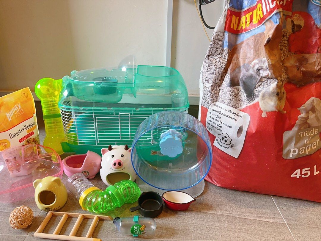 Dream 2025 hamster cage