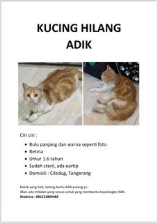 (Kategori: ) berada di . Dikirim oleh Shabys (ID iklan 1273578640, Gambar 1). Deskripsi: .