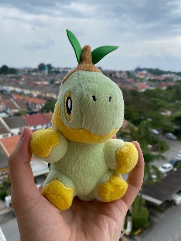 Turtwig plush discount