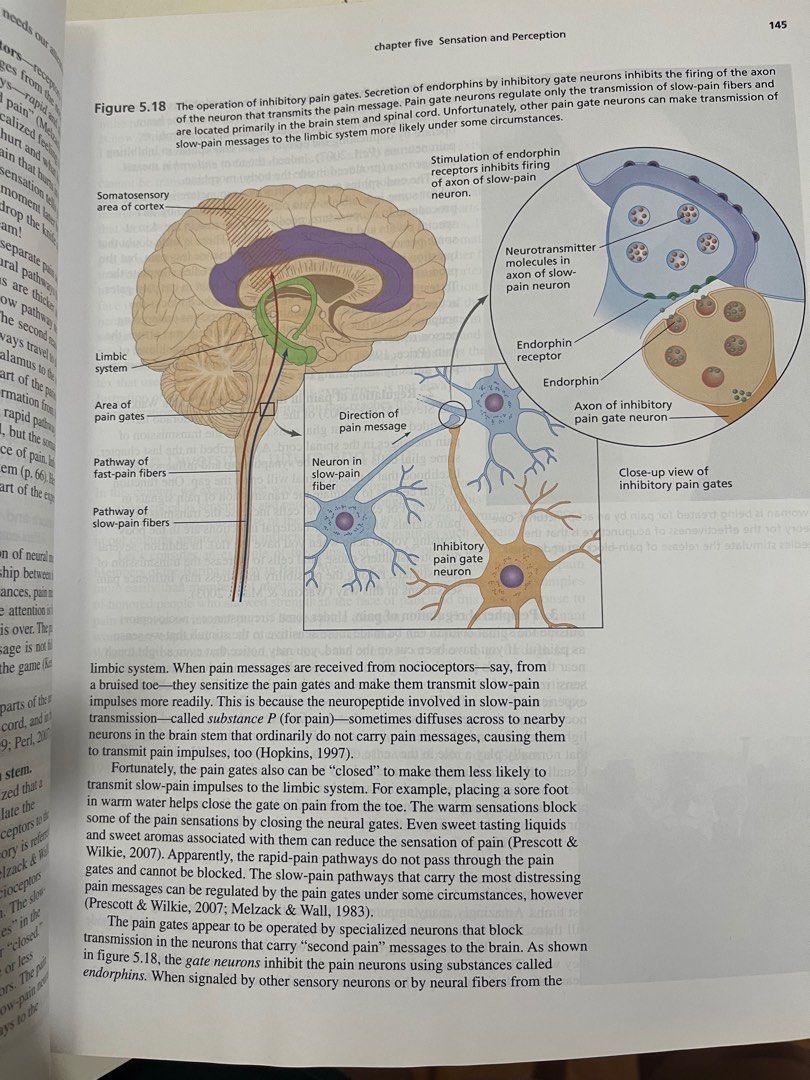 Psychology An Introduction by Benjamin B. Lahey 10th Ed. + Study Guide (Category: Textbooks) located in Quezon City. Submitted by nautical_nymph (Listing ID 1273602110, Image 3). Description: Selling as a set 600 php Textbook is colored, bought second hand but never used Good for incoming psych students Mop is gcash or bdo Shipping via ggx or sdd c/o buyer.