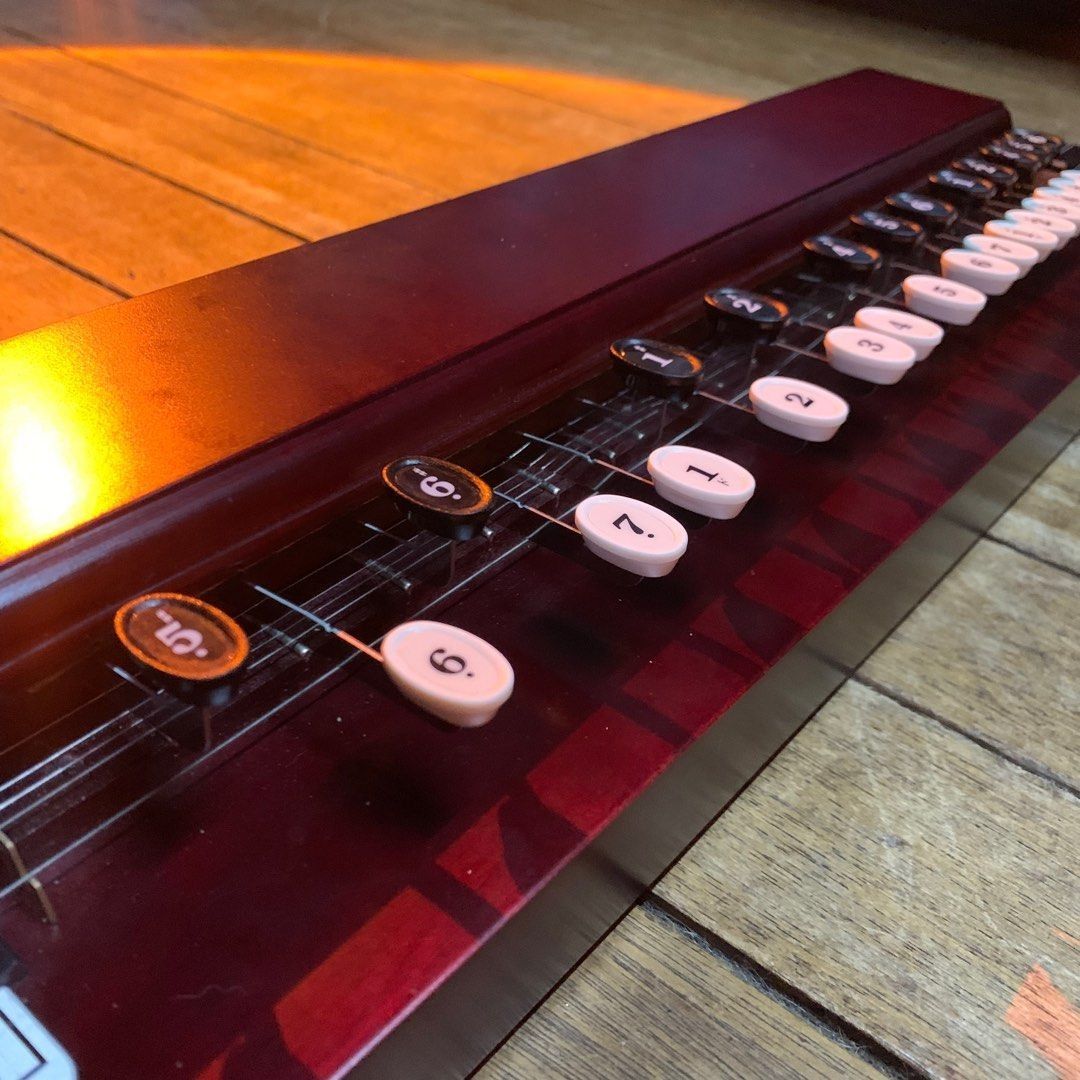 Nagoya harp store electric