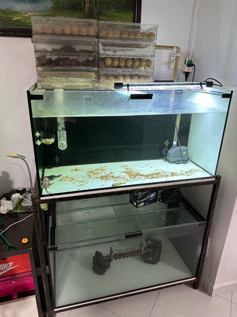 3ft Fish Tank (3x1.5x1.5ft), Pet Supplies, Homes & Other Pet