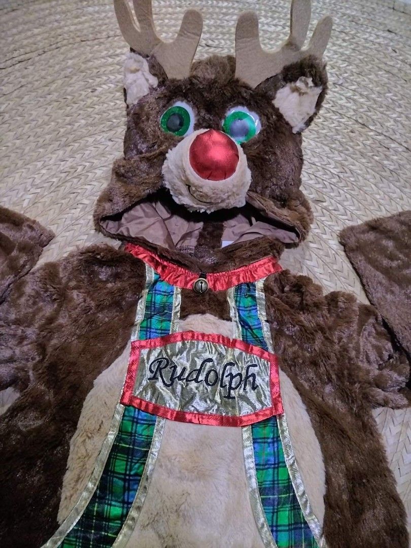 Christmas Costume (Rudolph) (Category: Babies & Kids Fashion) located in Cavite. Submitted by takeyourpick2020 (Listing ID 1273742430, Image 3). Description: Rudolph Costume Bnew Mall pullout 380 each Sizes available 3-4 5-6 7-8.