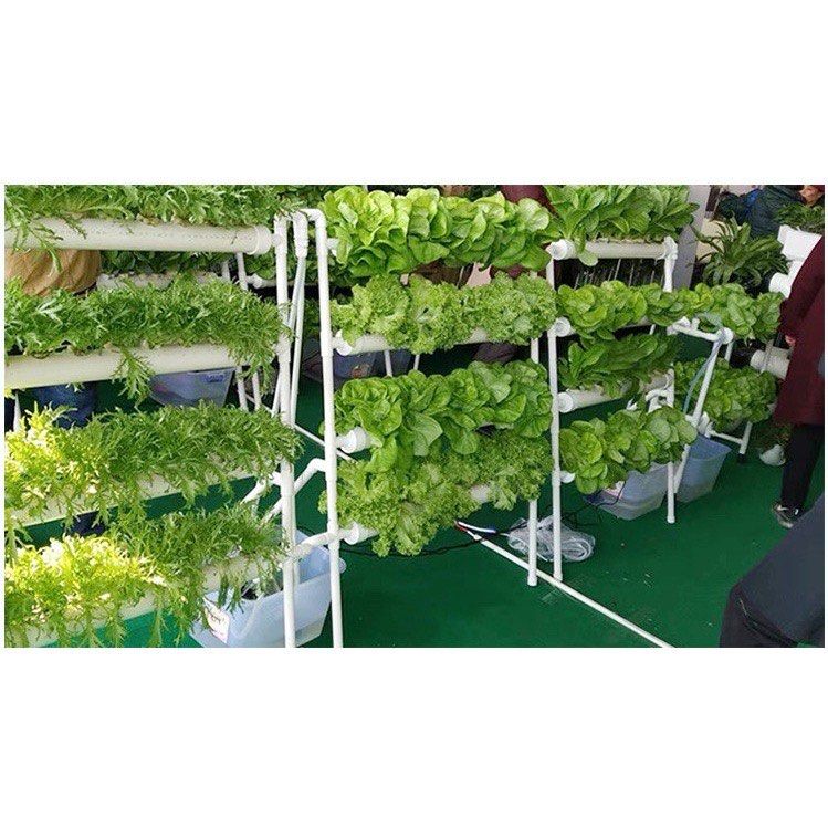Hydroponics rack system, Furniture & Home Living, Gardening, Pots ...