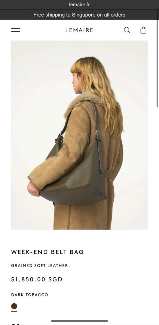 Lemaire best sale cabas bag