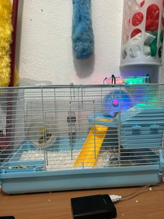 Ebers hotsell hamster food