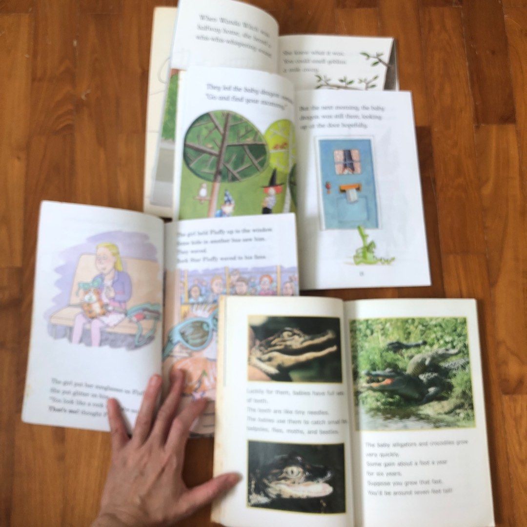 (Level 3) Set of 12 Puffin Young Readers Level 3, Scholastic Reader ...
