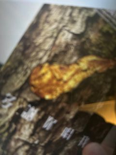 （分類：）位於 。 由 honwk 提交（商品編號 1274012470，圖片 1）。簡介： 。