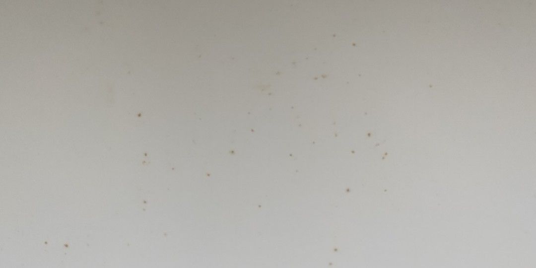 A1 White mounting board, Hobbies & Toys, Stationery & Craft, Craft